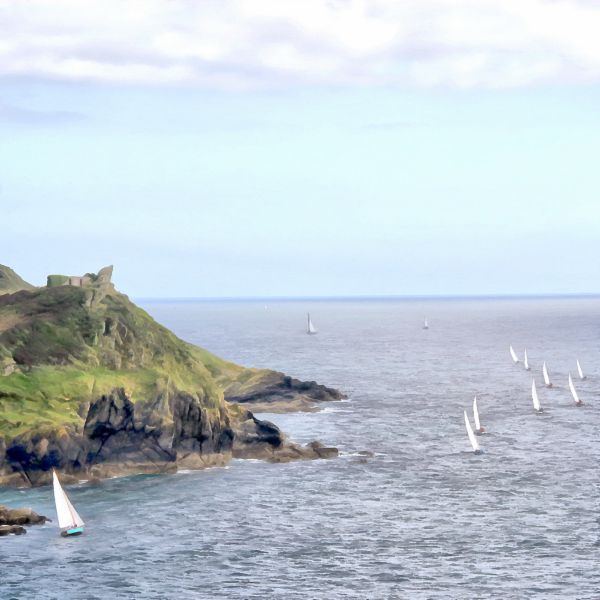Yacht Race